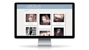 photography web design