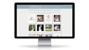 content management system (CMS) area log in