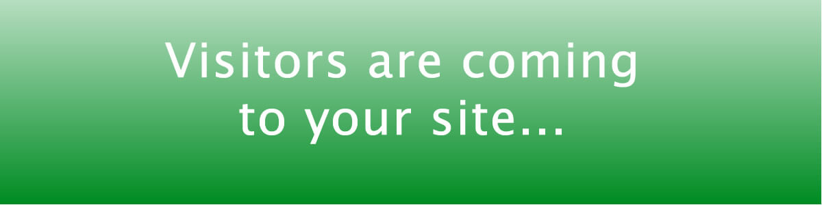 visitors are finding your website